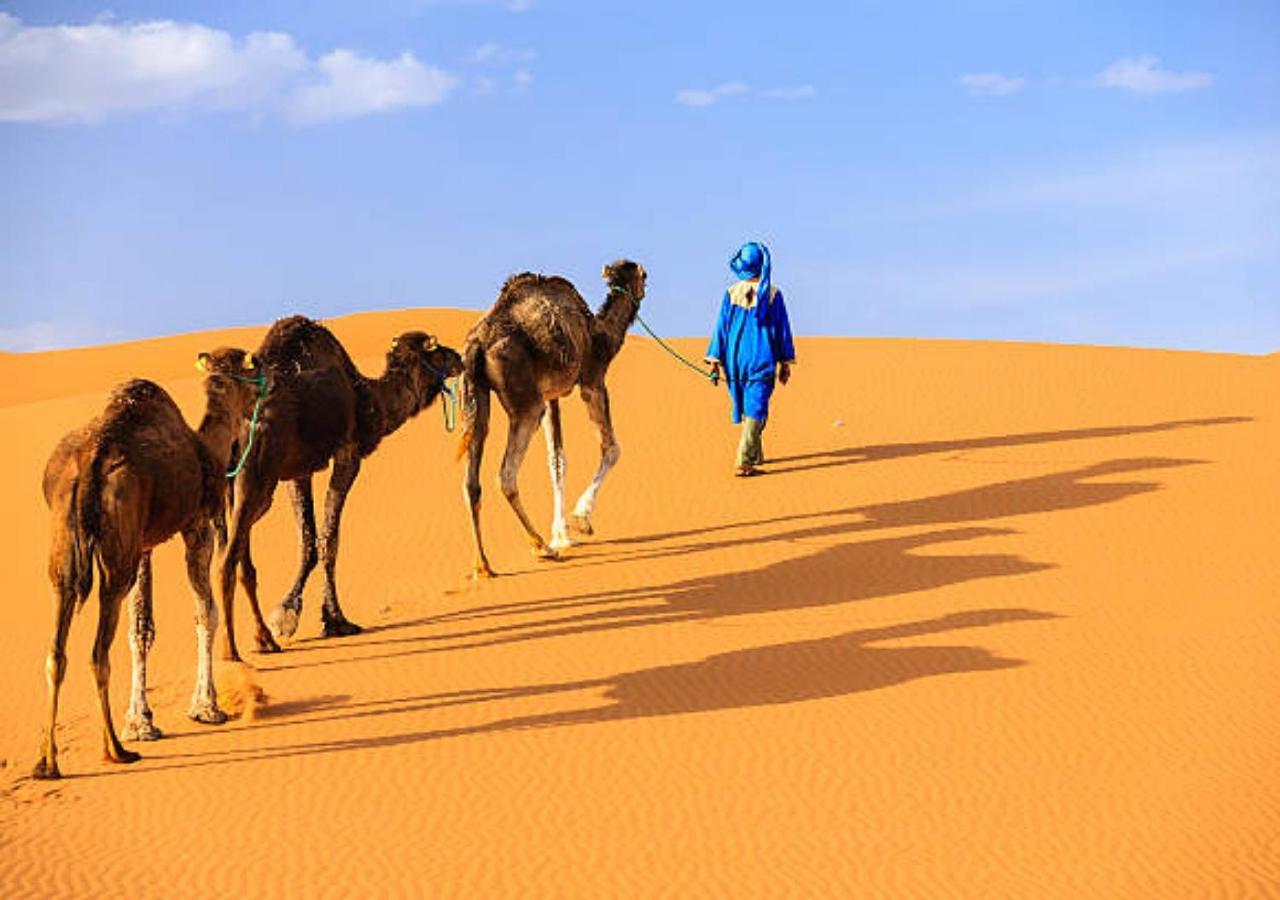 Desert Glamping Experience Merzouga Exteriör bild